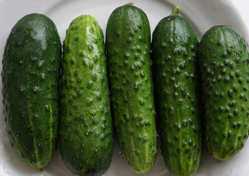 Pickling Projects