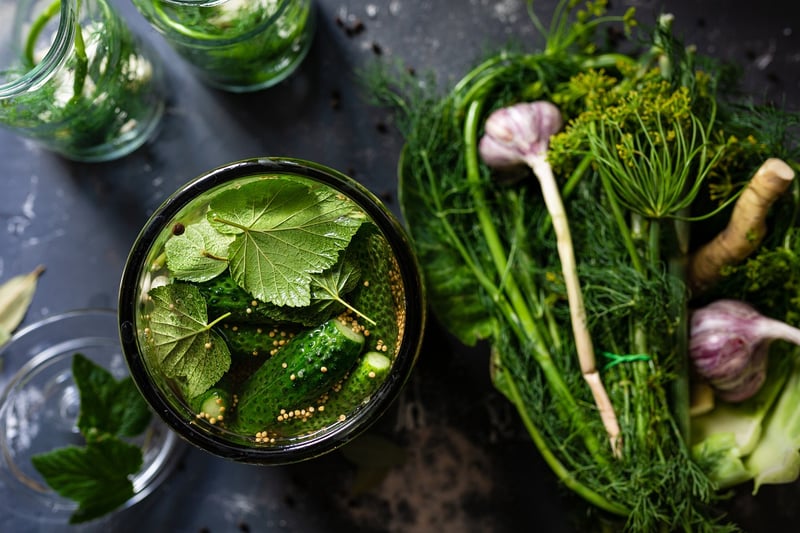 Pickled cucumbers